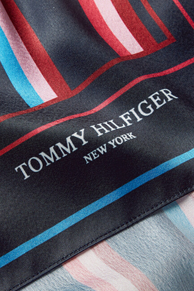 Shall Tommy Hilfiger AW0AW141650JY