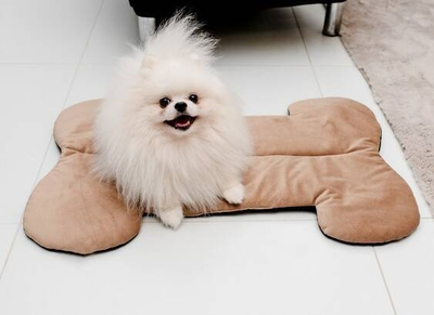 Shtrat për qen Mimikoko MIMIKO Pets Velvet, formë kocke, kundër rrëshqitjes, ngjyrë bezhë