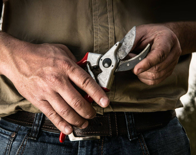 Ножици за кроење Felco 2 Classic, 25 mm, професионални, црвени