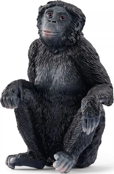 Figurë lodër Schleich Pygmy Chimpanzee Female, seri Wild Life, plastike