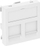 Adapter për 2x RJ45 Bettermann M45 DTG-2RM RW1, i bardhë