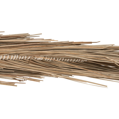 Pemë dekorative Tropic 310Hcm (HM4323)