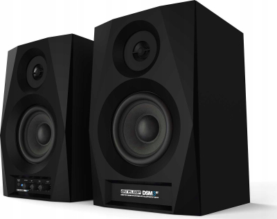 Kaltoparlant monitor Reloop DSM-3-BT, me Bluetooth, i zi