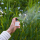 Extrait de Parfum Inspired by: Chloé - Nomade Naturelle