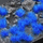 Tufa bari dekorative Gamers Grass Special Tufts, 6 mm, Alien Blue