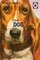 How It Works The Dog - Jason Hazeley Joel Morris