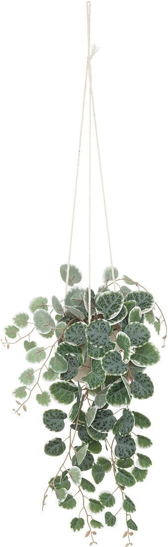 Bimë artificiale varëse Atmosphera Lourmarin, vazo çimentoje, 80cm, e bardhë