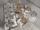 Set kapëse flokësh Adar, 8 cm, 12 copë, shumëngjyrëshe
