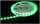 ЛЕД лента MW Lighting LED60-12V/14.4W RGB, 5m, повеќебојна