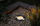 Spot tokësor Paulmann Plug & Shine FLOOR SH, 4.6W, RGBW Zigbee, i zi