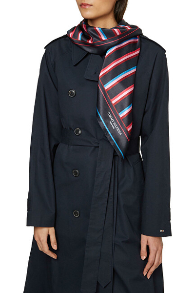 Shall Tommy Hilfiger AW0AW141650JY