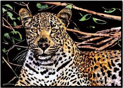Kartolinë kreative Your Hobby Magic Scratch, leopard, 40.5x28.5cm, shumëngjyrëshe