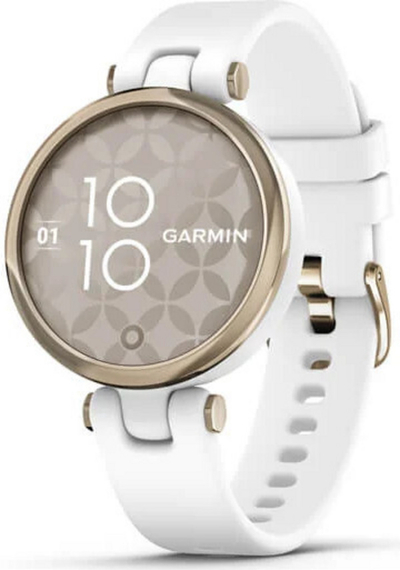 Orë e mençur Garmin 010-02384-10