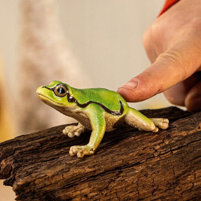 Figurinë lodër Schleich Wild Life bretkosë evropiane e pemës, edukative, e gjelbër