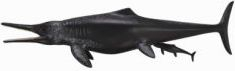 Figurë Collecta: Dinosaur Temnodontosaurus