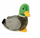 Lodër pellushi rosak Duck, 18 cm, me shumë ngjyra