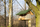 Ushqyes zogjsh Garden&amp;Fun Double House, dru, varës, 18.5x18.5x32 cm