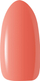 Llakk thonjsh Enamel Ocho Nails Hybrid Rainbow R04, 5 g, me ngjyrë shumëngjyrëshe