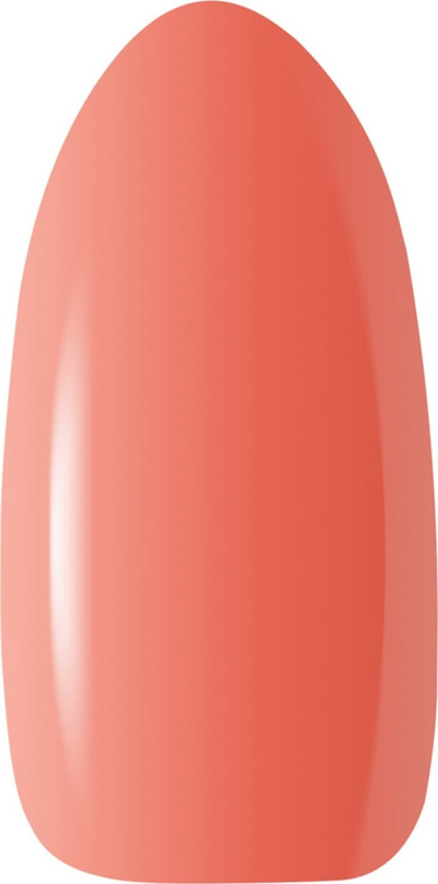 Llakk thonjsh Enamel Ocho Nails Hybrid Rainbow R04, 5 g, me ngjyrë shumëngjyrëshe