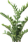 Bimë artificiale Emerald Zamioculcas, 110 cm, për zbukurim, jeshile