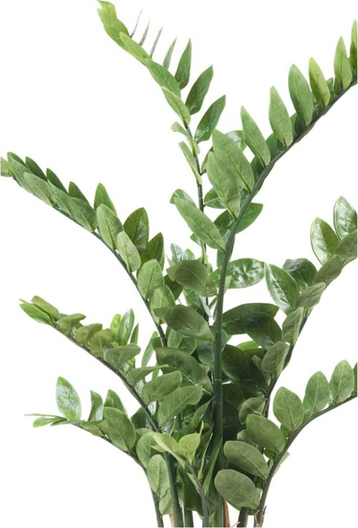 Bimë artificiale Emerald Zamioculcas, 110 cm, për zbukurim, jeshile