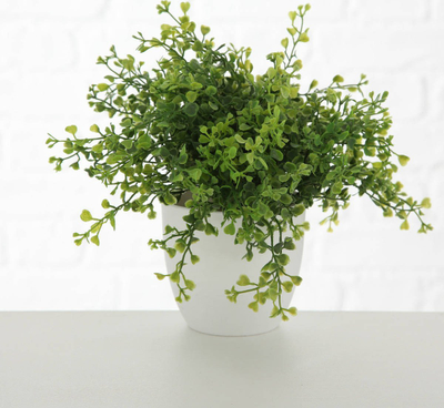 bimë artificiale Boltze Decor, vazo qeramike Ø15cm, gjethe jeshile, vazo e bardhë