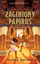 Libër Lost Papyrus Secrets of the Desert Volume 1, roman me aventura, për të rinj, me kopertinë me ngjyra