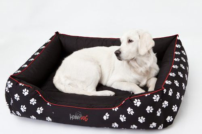 Shtrat HOBBYDOG, XL, i zi