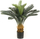 Bimë artificiale Emerald Cycas Revoluta, 80cm, me vazo, jeshile