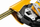 Arrestues rënieje PETZL ASAP LOCK B071BA00, për litar 10 deri 13 mm, me bllokim të integruar, i verdhë