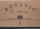 Set vazo Atmosphera Botanic Factory, MDF drejtkëndëshe, me kornizë metalike, ngjyrë druri