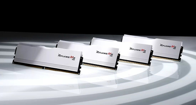 Memorie RAM G.Skill Ripjaws M5 RGB F5-6000J2836G16GX2-RM5RW, DDR5, 32GB 2x16GB, e bardhë