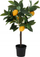 Bimë artificiale ProGarden Lemon Tree, 60 cm, në vazo, jeshile