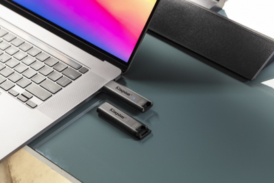 USB Kingston DataTraveler Max, 1TB, i zi