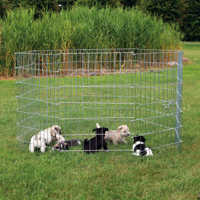 Kafaz metalik për qen Trixie Metal Cage, 60x91cm, palosës