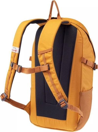 Çantë shpine Iguana Backpack Lukes 22L, me vend për laptop, poliester, shumëngjyrëshe
