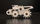 Set për me ndërtu me dru Eco Wood Art Mini Belaz Truck, model 3D mekanik, me rrota që lëvizin, ngjyrë druri natyrale