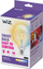 Llambë inteligjente WiZ Filament G125, 7W LED 60W EQ, E27, xham transparent
