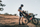 Çantë sediljeje biçiklete Zefal Z Adventure R17, 17L, e papërshkueshme nga uji, gri