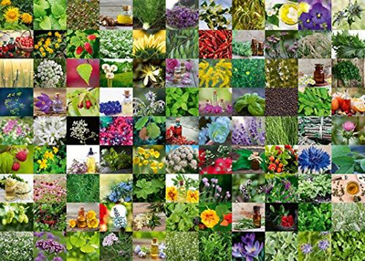 Puzzle Ravensburger 99 Herbs and Spices, 1000 copa, me bimë dhe erëza, shumëngjyrësh