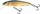 Karrem imitues Salmo Minnow Real Roach S 5 cm