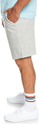 Shortse Quicksilver Essentials Regular Fit, tё hirta