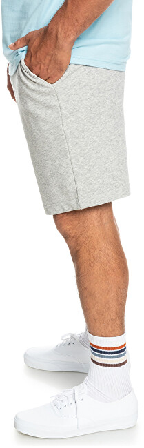 Shortse Quicksilver Essentials Regular Fit, tё hirta
