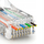 Konektor rrjeti Maclean RJ45 MT177, UTP CAT6, Pass Through, transparent