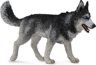 Figurë Collecta Siberian Husky (004-88707)