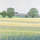 Kartolinë Susan Entwistle “Barley Fields”, me zarf, shumëngjyrëshe