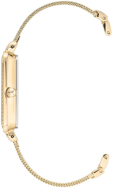 Set orë dore & kapëse për flokë Anne Klein AK / 3642GBST