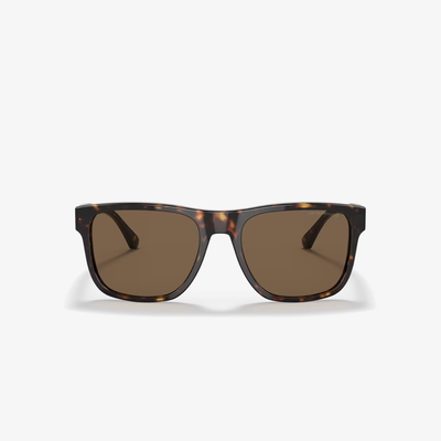 Emporio Armani EA4163 587973 56