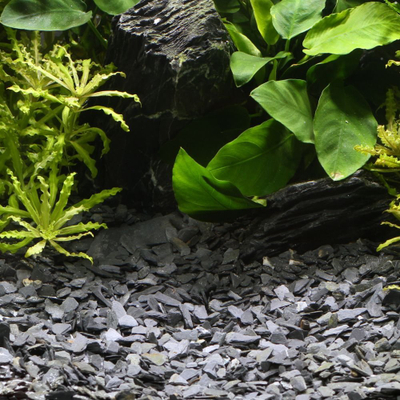 Zhavorr dekorativ për akuarium Dennerle Plantahunter Gravel Baikal, 5 kg, ngjyrë natyrale