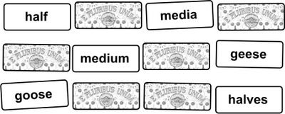Luderis Plural Memo (foil) – Loja “Noun Memory” për shumësi emrash